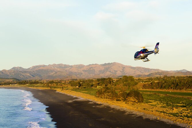 Kaikoura Helicopters Extended Whale Watch - Dolphins and seals add variety