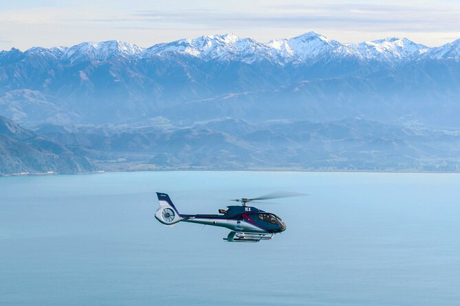 Kaikoura Helicopters Top n Tail Whale Watch flight - Key points to know before booking