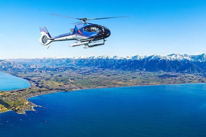 Kaikoura Helicopters Top n Tail Whale Watch flight - What the pilot adds to the experience