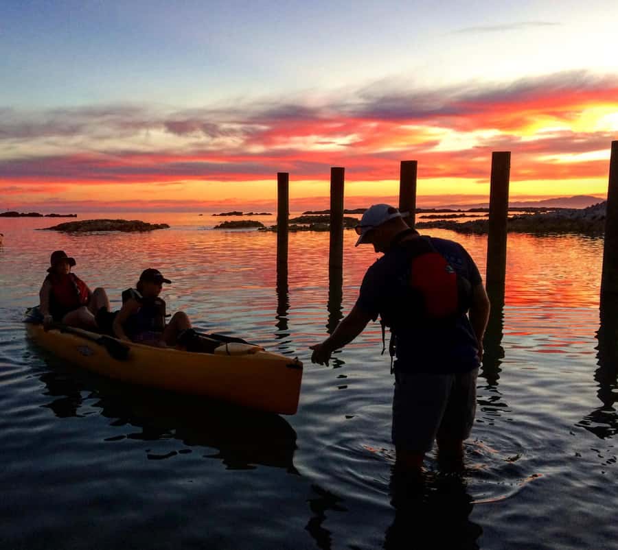 Kaikōura: Kayak Sunset Tour with Seal Sightings - Watching kekeno without chasing them