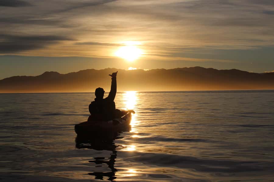 Kaikōura: Kayak Sunset Tour with Seal Sightings - What the $83 price includes