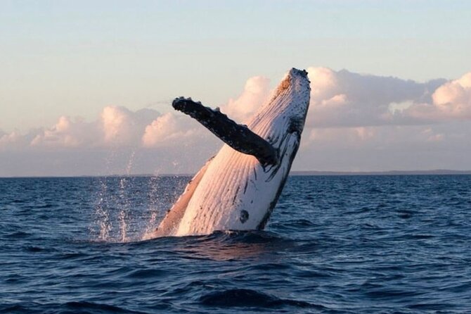 Kaikoura Private Whale Watching Day Trip from Christchurch - Leaving Christchurch at 7:30 am