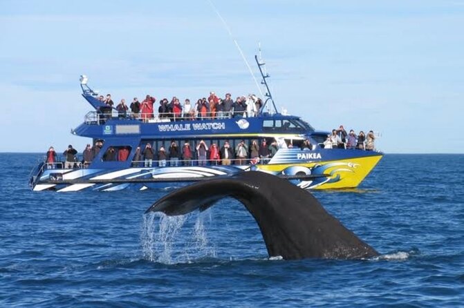 Kaikoura Private Whale Watching Day Trip from Christchurch - The North Canterbury road to Kaikoura
