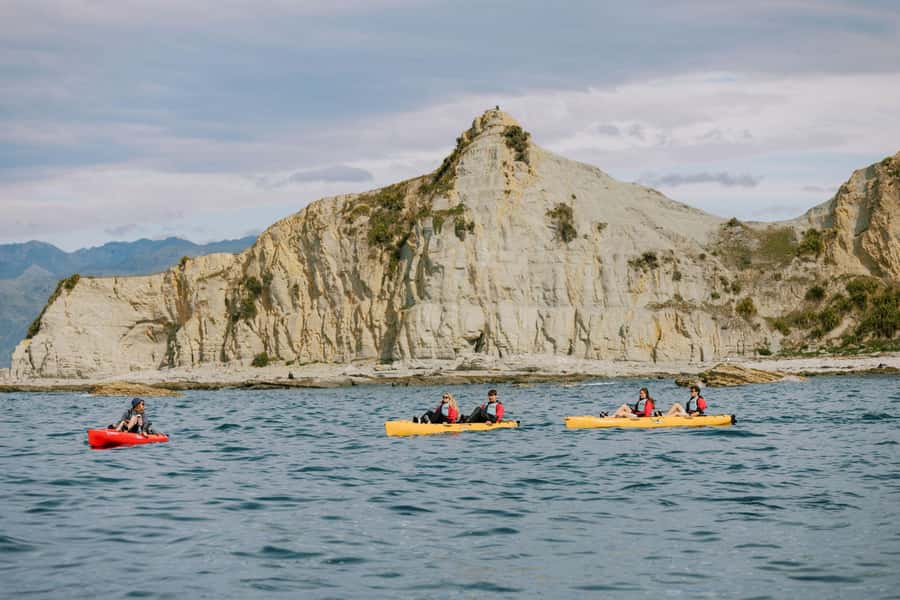 Kaikoura: Seal-Watching Pedal Kayak Tour - Why hands-free photography is genuinely useful