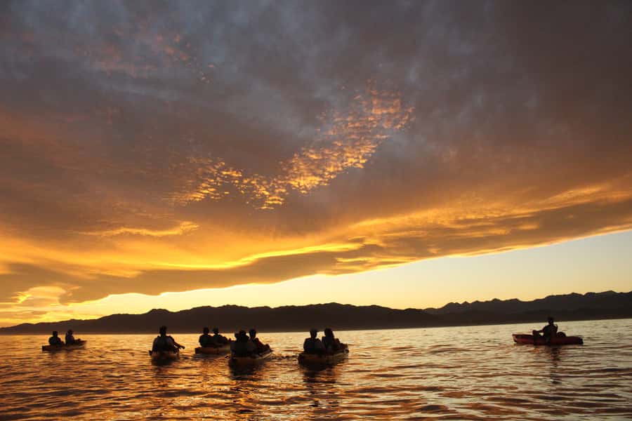 Kaikoura: Seal-Watching Pedal Kayak Tour - The guides add meaning to the wildlife sightings