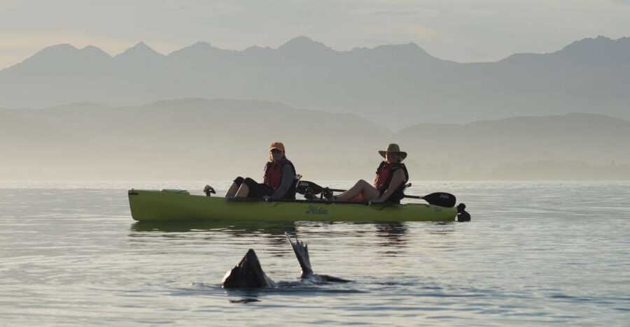 Kaikoura: Seal-Watching Pedal Kayak Tour - Timing, duration, and what the day really includes