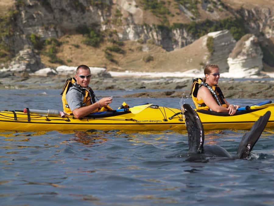 Kaikoura: Sunset Evening Kayaking Tour - Is $95 good value for three hours?