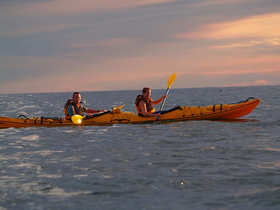 Kaikoura: Sunset Evening Kayaking Tour - Why evening is the right time in Kaikoura