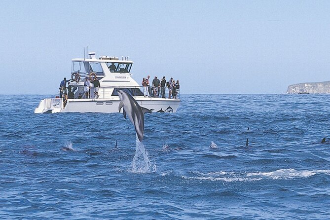 Kaikoura Whale and Dolphin Overnight Tour from Christchurch - The 7:00 am departure from Christchurch