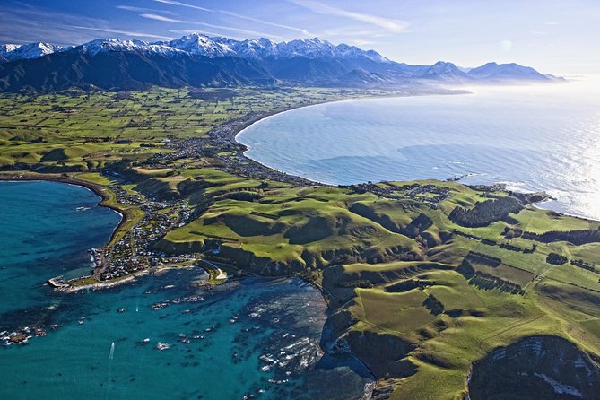 Kaikoura Whale Watch Day Tour from Christchurch - Key points before you book