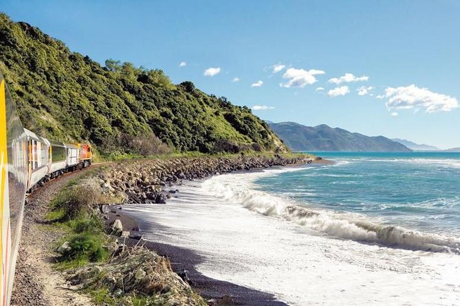 Kaikoura Whale Watch Day Tour from Christchurch including Coastal Pacific Train - Why Kaikoura is such a strong whale-watching choice