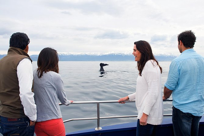 Kaikoura Whale Watch Day Tour from Christchurch - Boarding Whale Watch Kaikoura