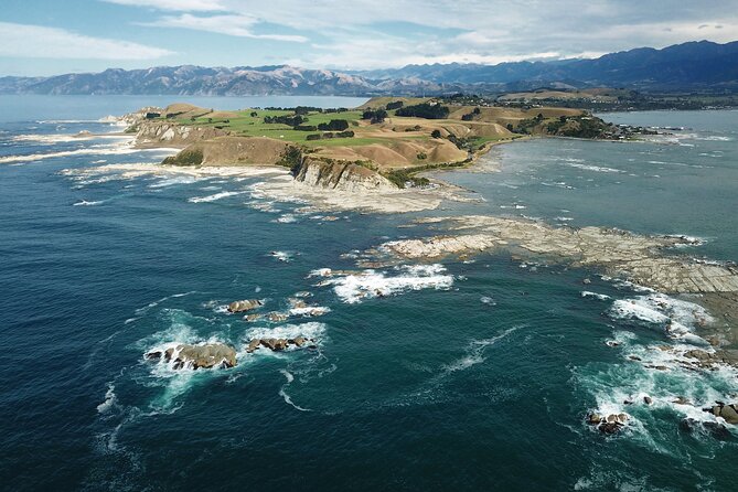 Kaikoura Whale Watch Tour from Christchurch - Small Group - Starting early from Christchurch at 7:30 am
