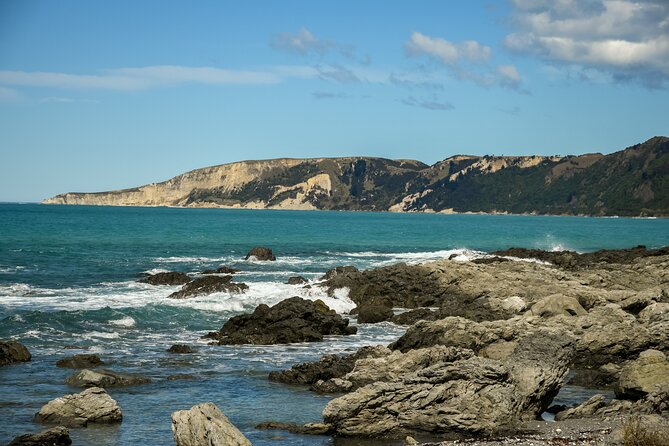 Kaikoura Whale Watch Tour from Christchurch - Small Group - Arriving in Kaikōura for fish and chips