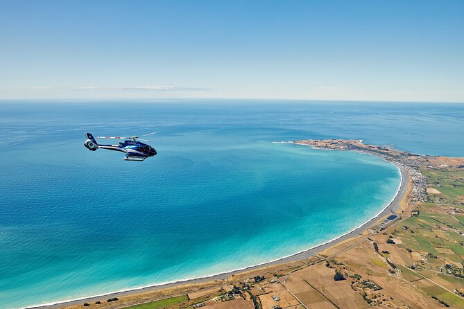 Kaikōura Whale Watching - 1hr 20min Ultimate Adventure - Setting out from 617 State Highway 1
