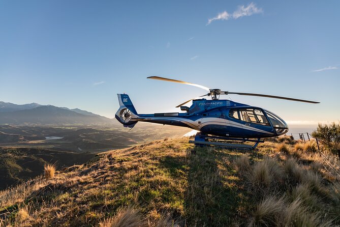 Kaikoura Whale Watching - 45 Minute Ocean Safari - The remote hilltop landing