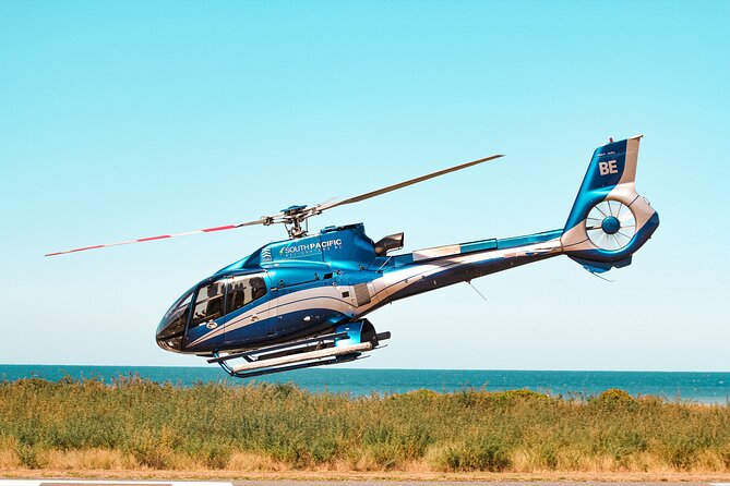 Kaikoura Whale Watching - 45 Minute Ocean Safari - What the price means at $511.97
