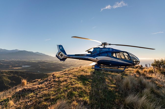 Kaikoura Whale Watching - 45 Minute Ocean Safari - Who will enjoy this most?