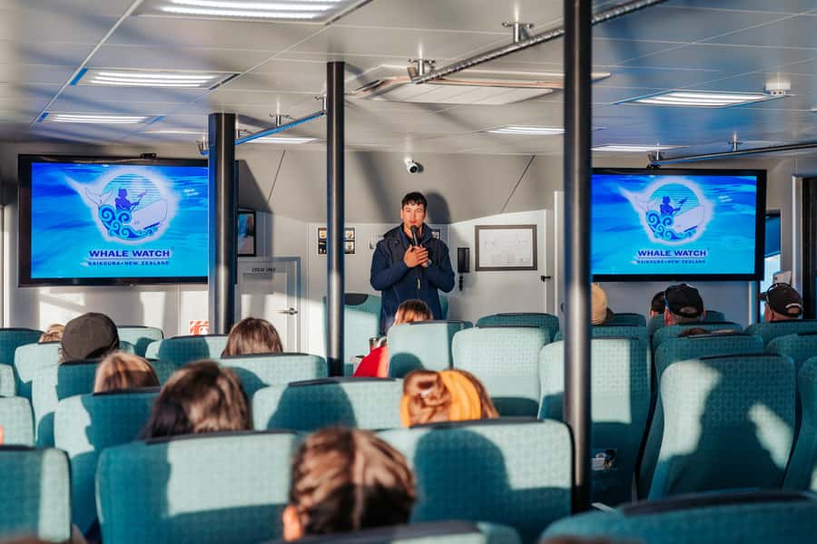 Kaikoura: Whale Watching Cruise - Key points to know before you book