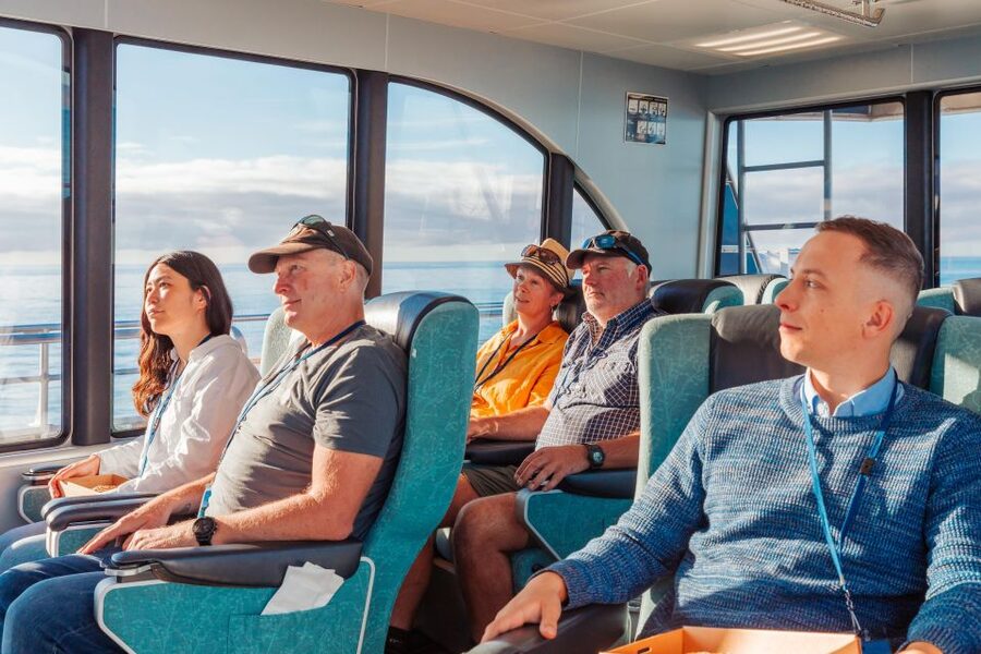 Kaikoura: Whale Watching Cruise - Should you book Whale Watch Kaikoura?