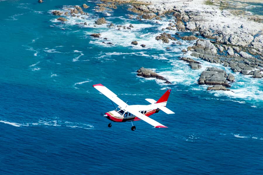 Kaikoura: Whale Watching Flight with Commentary - Safety, comfort, and practical limits