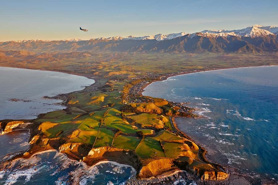 Kaikoura: Whale Watching Flight with Guided Commentary - Sperm whales are the main event
