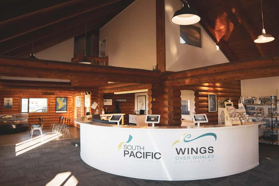 Kaikoura: Whale Watching Flight with Guided Commentary - Who will get the most from this trip