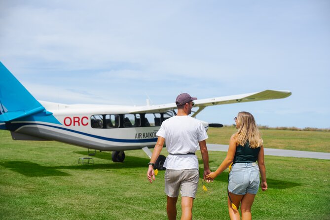 Kaikōura Whale Watching Scenic Flight (40 Minutes) - Why see Kaikōura’s whales from the air?