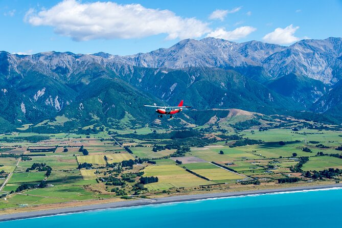 Kaikōura Whale Watching Scenic Flight (40 Minutes) - What happens if the whales stay hidden?