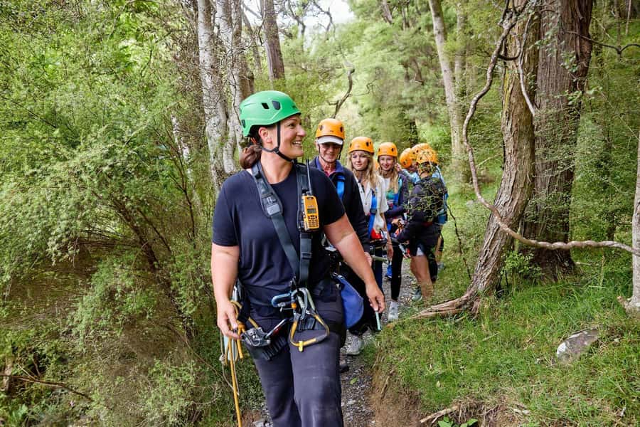 Kaikōura: Zipline and Native Forest Adventure Trip - What makes the conservation angle worthwhile?