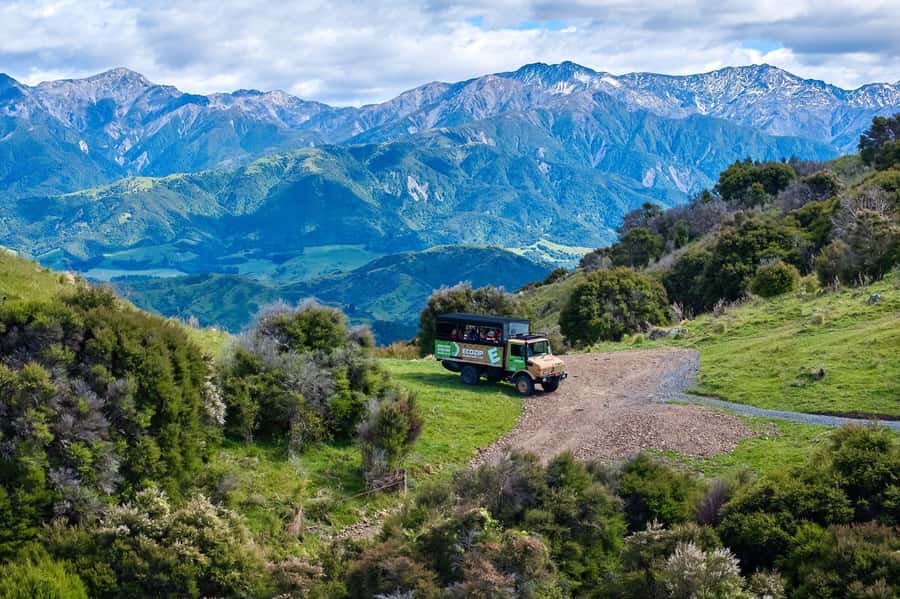 Kaikōura: Zipline and Native Forest Adventure Trip - From Kaikōura town to Rakanui Station