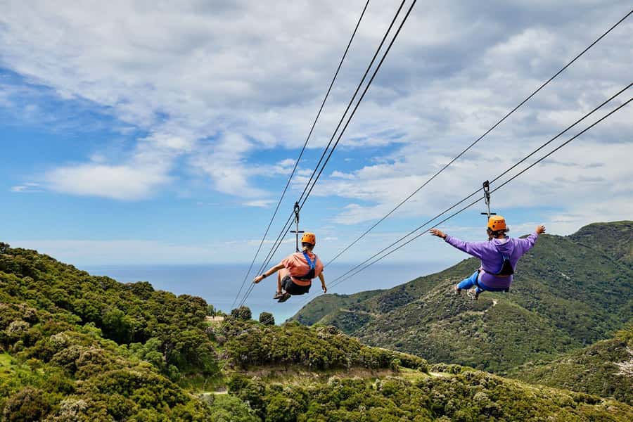 Kaikōura: Zipline and Native Forest Adventure Trip - A short forest walk with a purpose