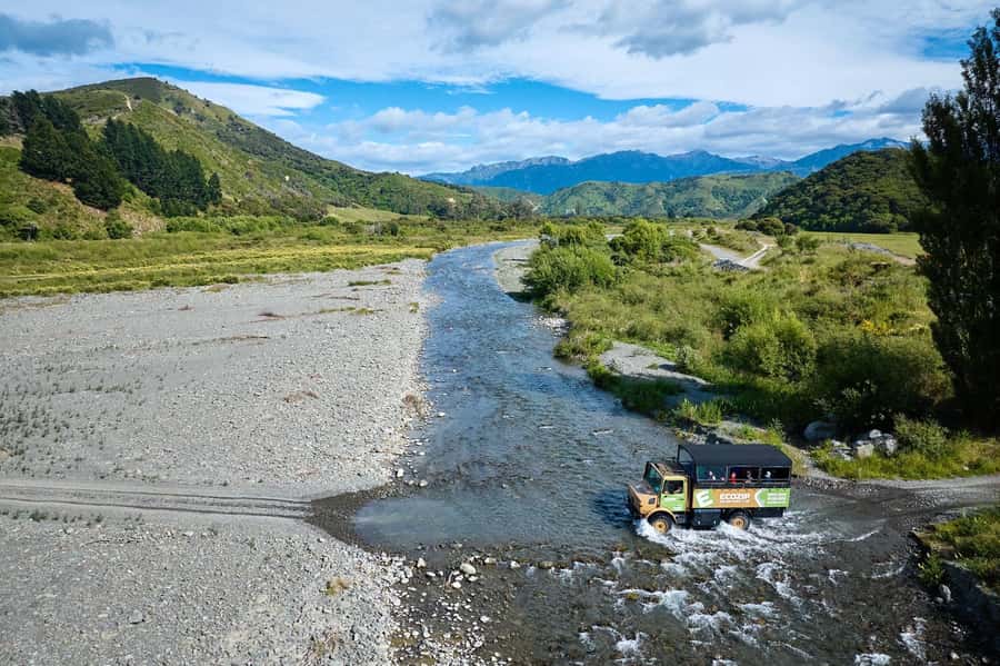 Kaikōura: Zipline and Native Forest Adventure Trip - Five ziplines, from 250 to 620 metres