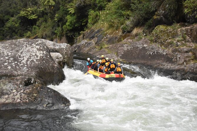 Kaituna Cascades - Grade 5 Wairoa River near Tauranga - The optional 5-meter cliff jump
