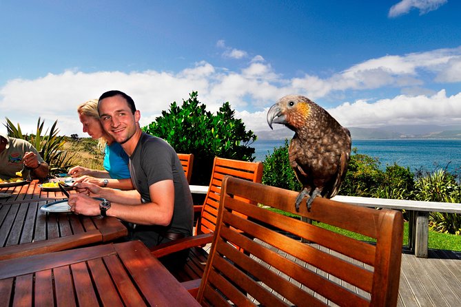 Kapiti Island Classic Guided Day Tour - Key points to know before booking