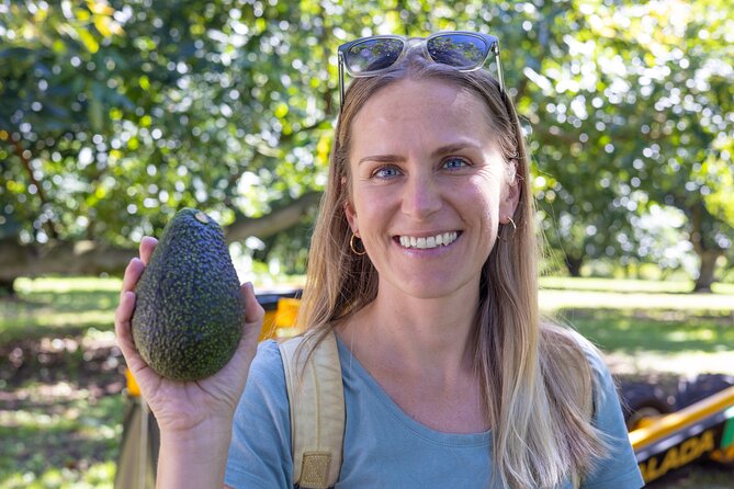 Katikati Avocado Adventure - A thoughtful choice for families and food fans