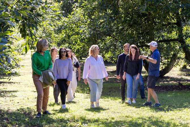 Katikati Gourmet Avocado Tasting - Tim’s orchard story and the seasonal cycle
