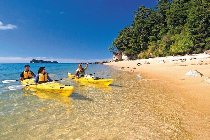 Kayak & Pitt Head Nature Loop - Guided Kayak & Unguided Walk - New Zealand - Paddling the Astrolabe coastline