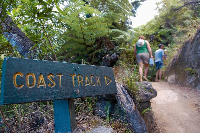 Kayak & Pitt Head Nature Loop - Guided Kayak & Unguided Walk - New Zealand - Pitt Head and the unguided walking section