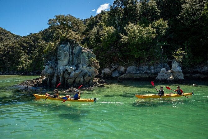 Kayak & Pitt Head Nature Loop - Guided Kayak & Unguided Walk - New Zealand - Lunch with local produce
