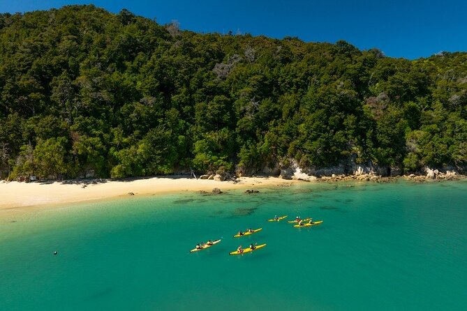 Kayak & Pitt Head Nature Loop - Guided Kayak & Unguided Walk - New Zealand - Returning by water taxi
