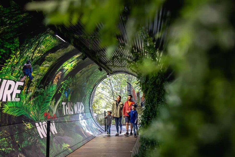 Kiwi Park Admission Ticket - The Honeybee Centre is a smart extra stop