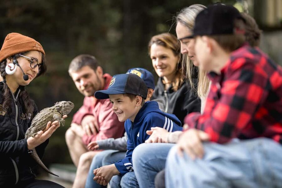 Kiwi Park Admission Ticket - How to plan a one-to-two-hour visit