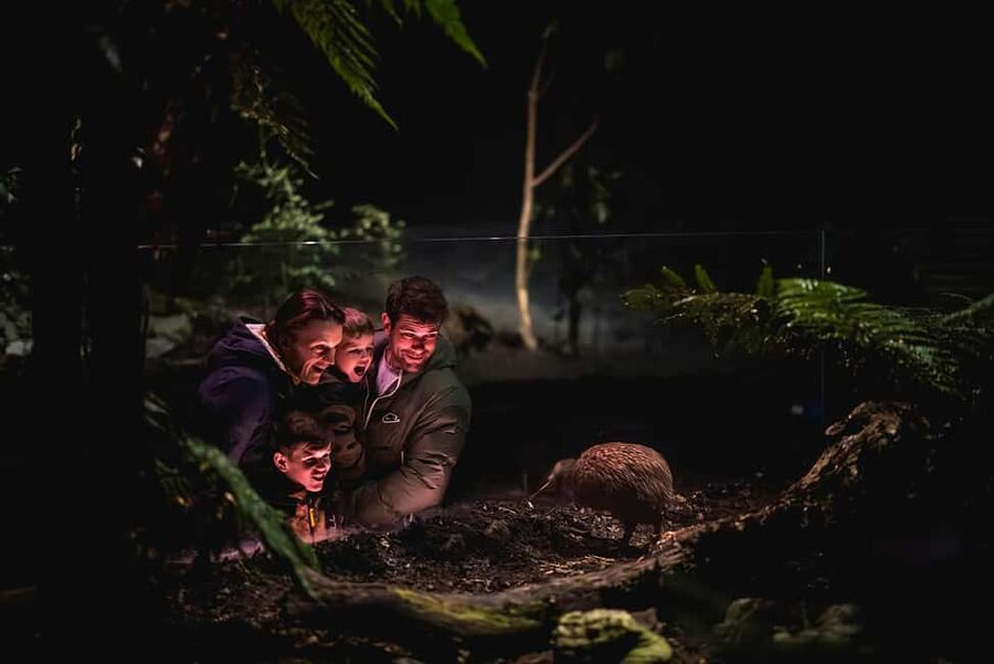 Kiwi Park Admission Ticket - Is $35 a fair price?