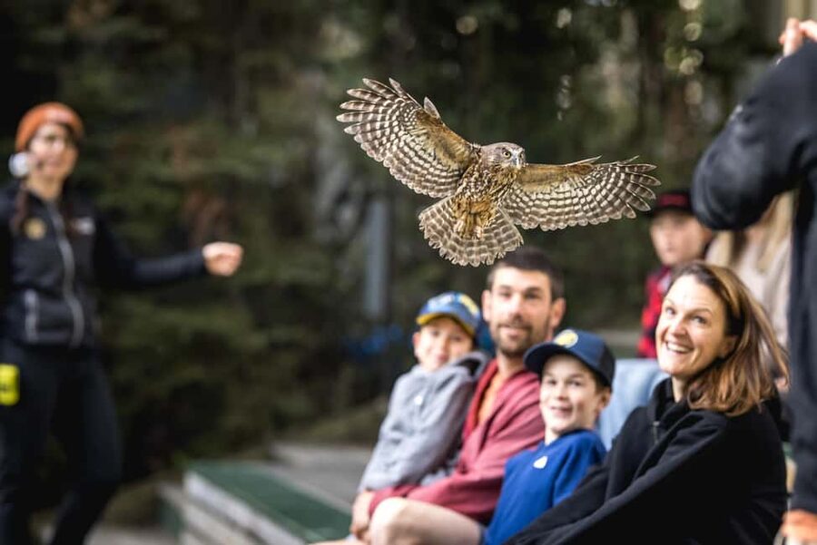 Kiwi Park Admission Ticket - Who will enjoy Kiwi Park most?