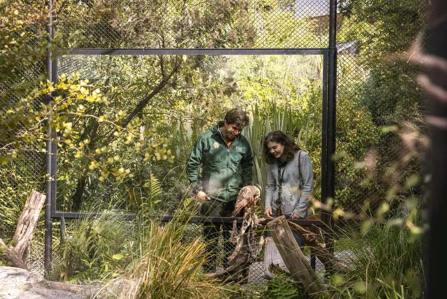 Kiwi Park Admission Ticket - A self-guided route lets you set the pace
