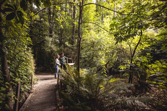 Kiwi Park Queenstown Admission - Walk the bird enclosures at your own pace