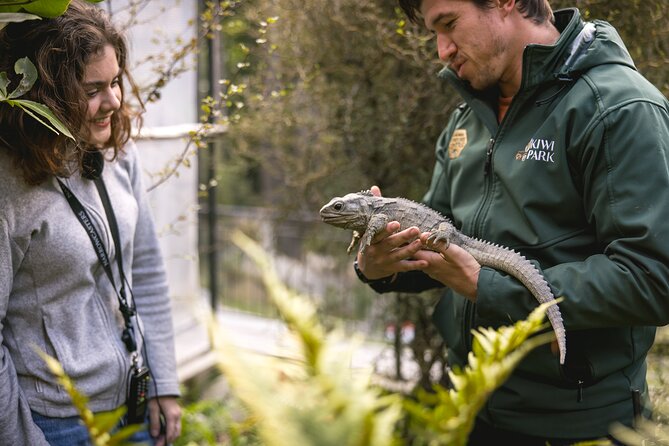 Kiwi Park Queenstown Admission - Conservation is part of the visit, not a side note