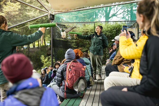 Kiwi Park Queenstown Admission - What the $39.72 admission includes