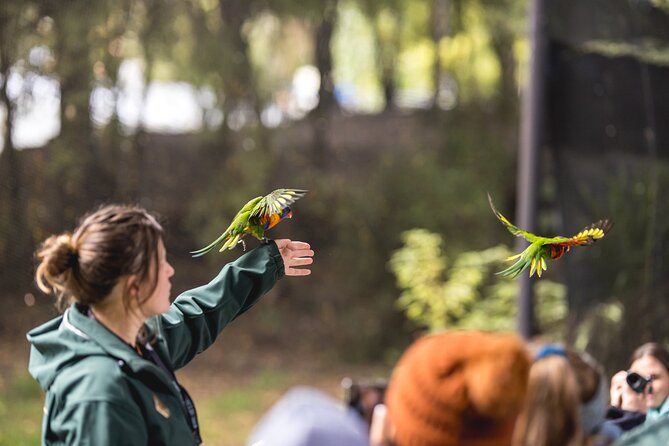 Kiwi Park Queenstown Admission - A practical visit plan for two to three hours